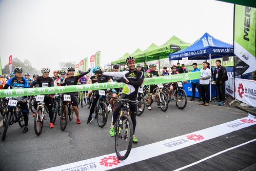 黃山腳下的較量 美利達(dá)杯國(guó)際自行車賽