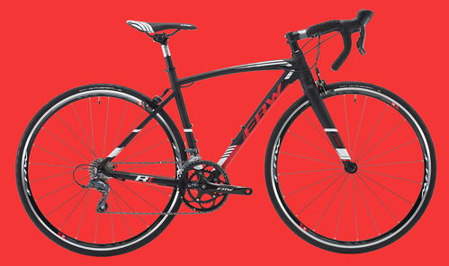 中國十大老牌自行車土撥鼠frw全世界碳纖維自行車品牌排行榜